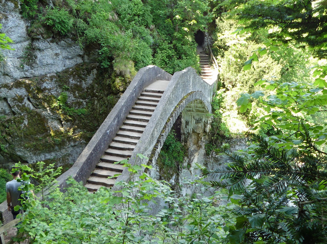 Teufelsbrücke景点图片