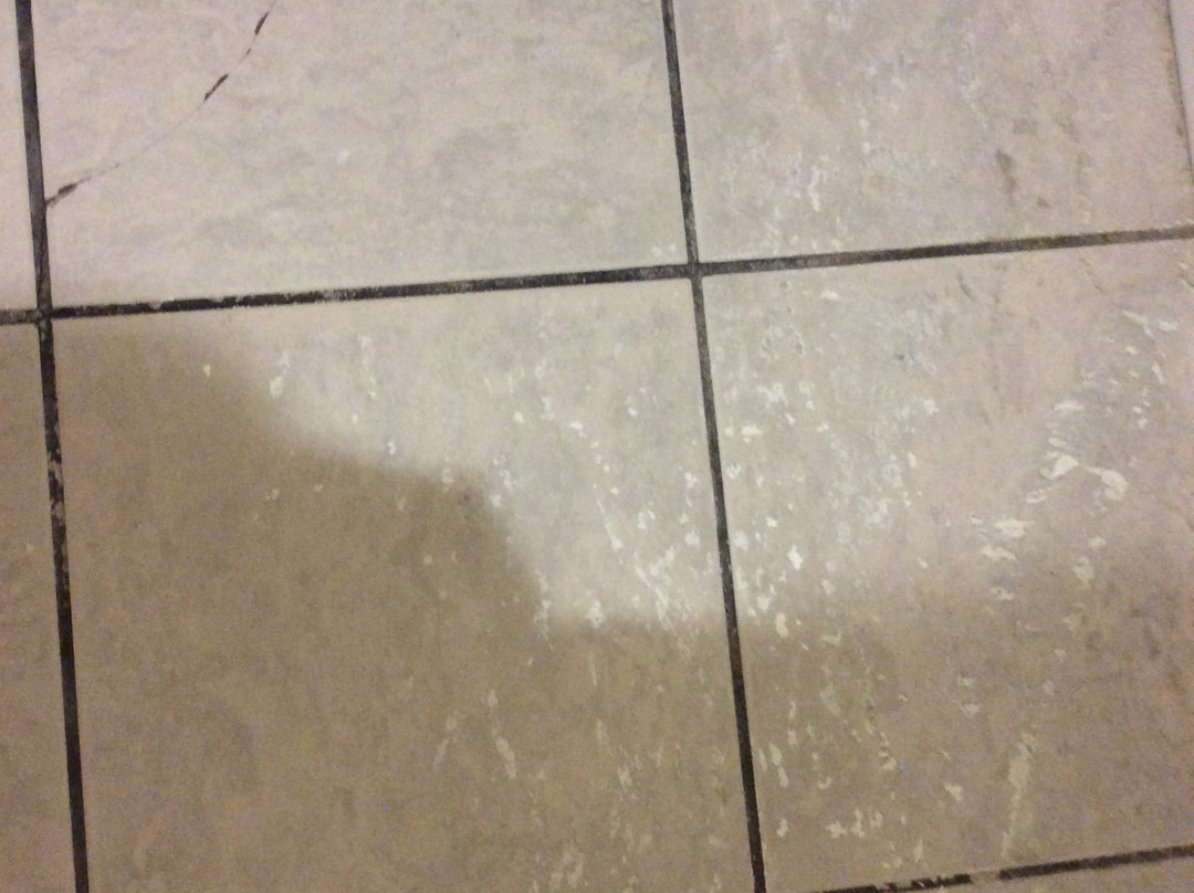 Riverview Hotel主图