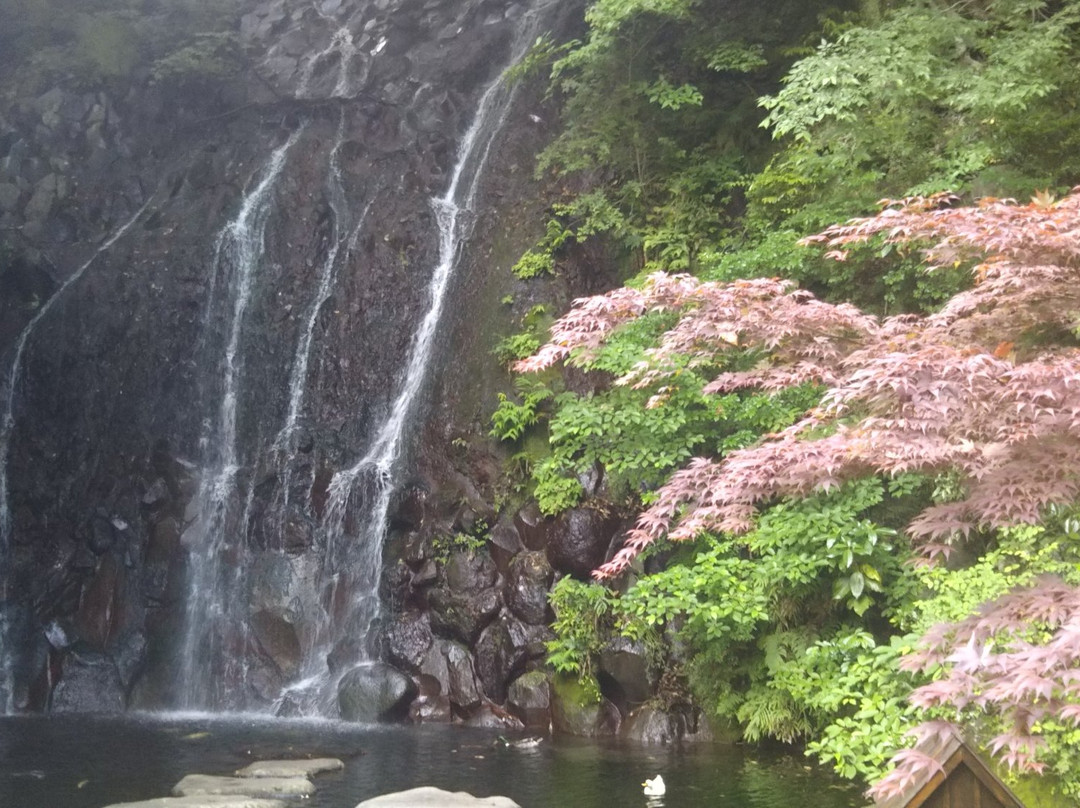 Tamadare Falls / Hien Falls-箱根町必去景点