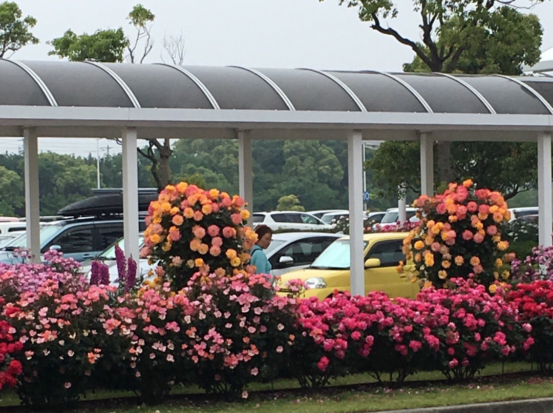 Yamaguchi Ube Airport Rose Garden-宇部市必去景点