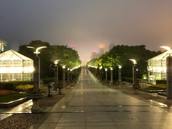 Gallery 3