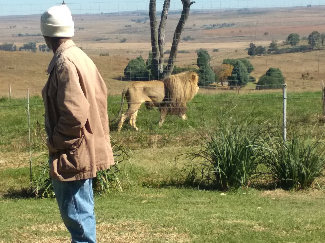 Lions Rest Country Estate主图