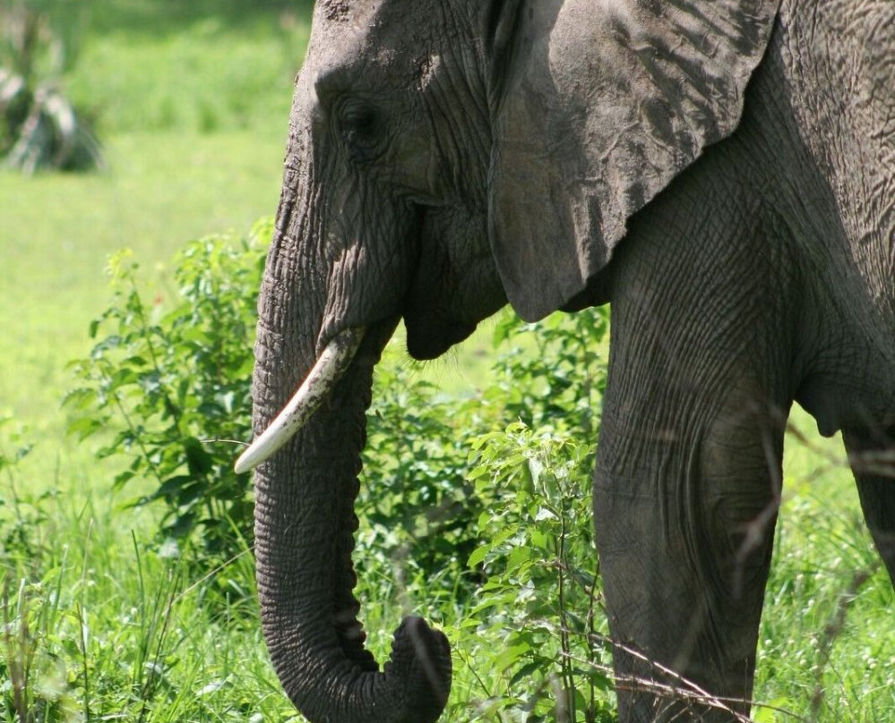 Muky Tours and Safaris-Mukono必去景点