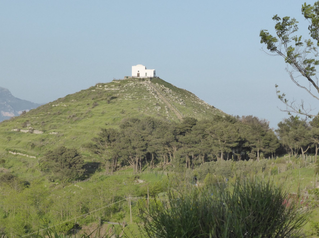 Monte San Costanzo景点图片