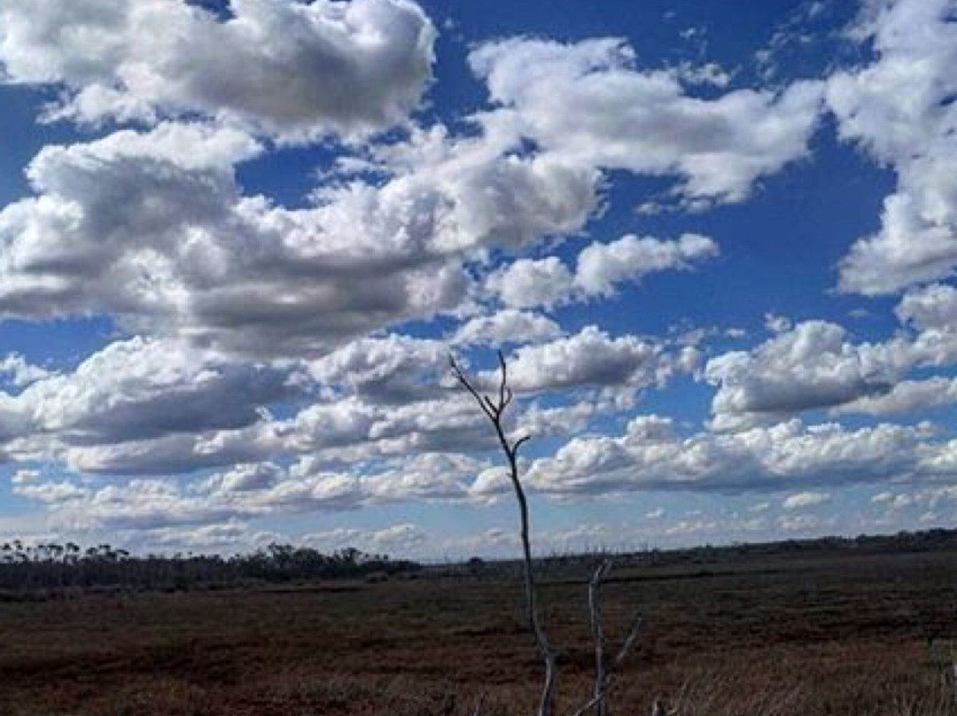 Lake Coleman State Game Reserve-Golden Beach必去景点