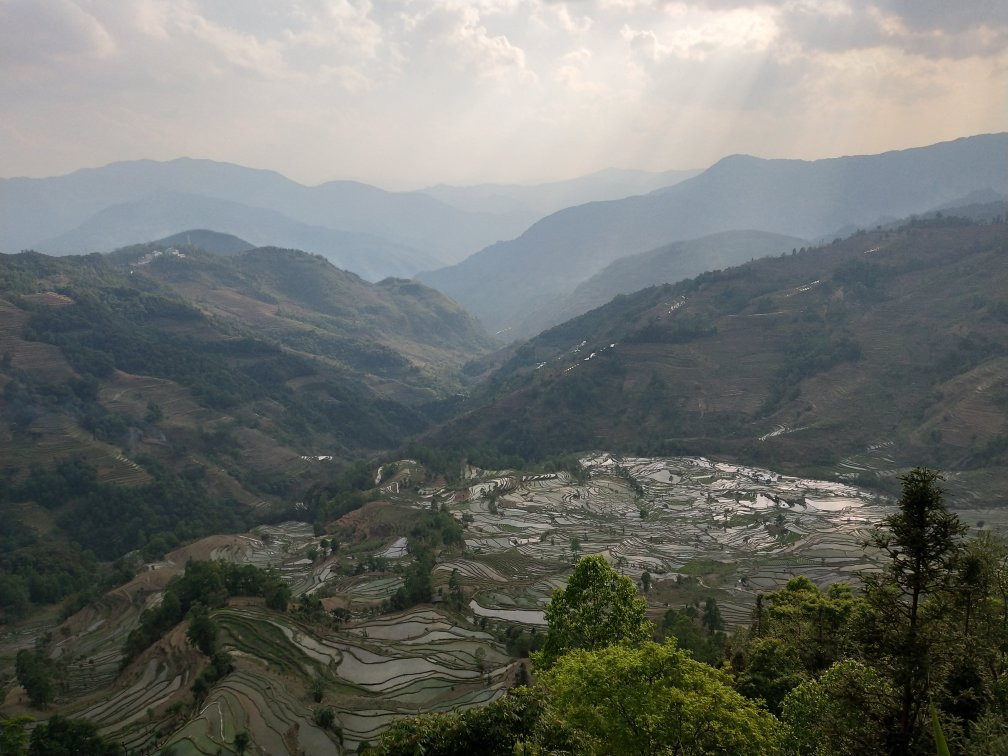 元阳梯田景点图片