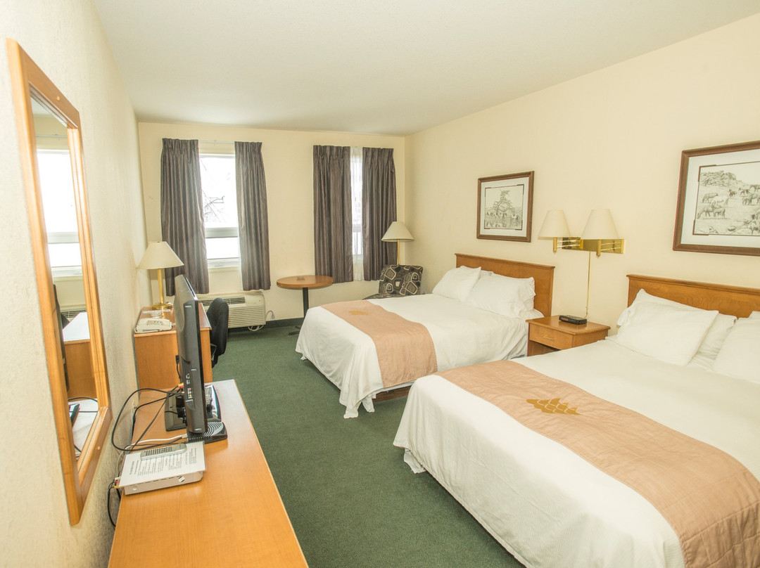 Lakeview Inns & Suites - Okotoks主图