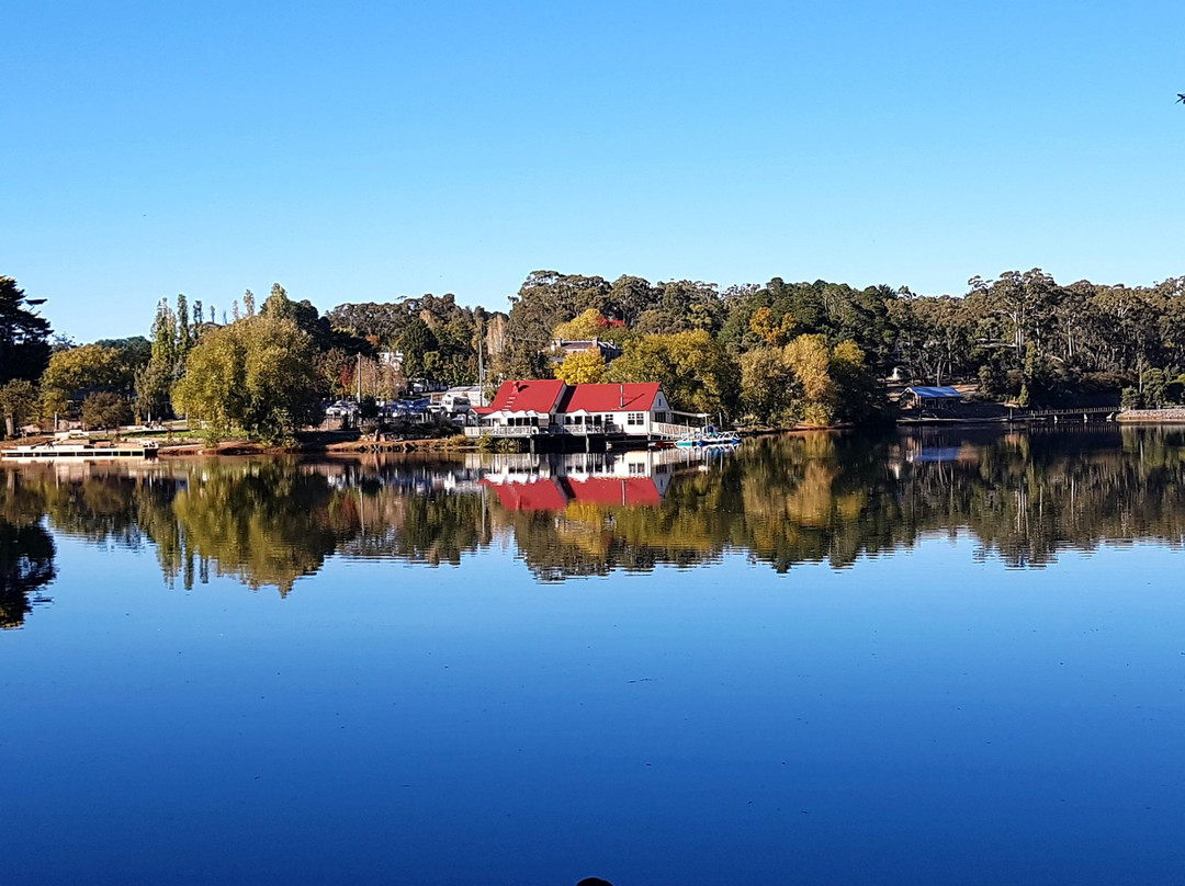 戴尔斯福特旅游景点-Lake Daylesford