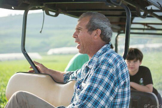 Merkavot Hayarden-Afikim必去景点