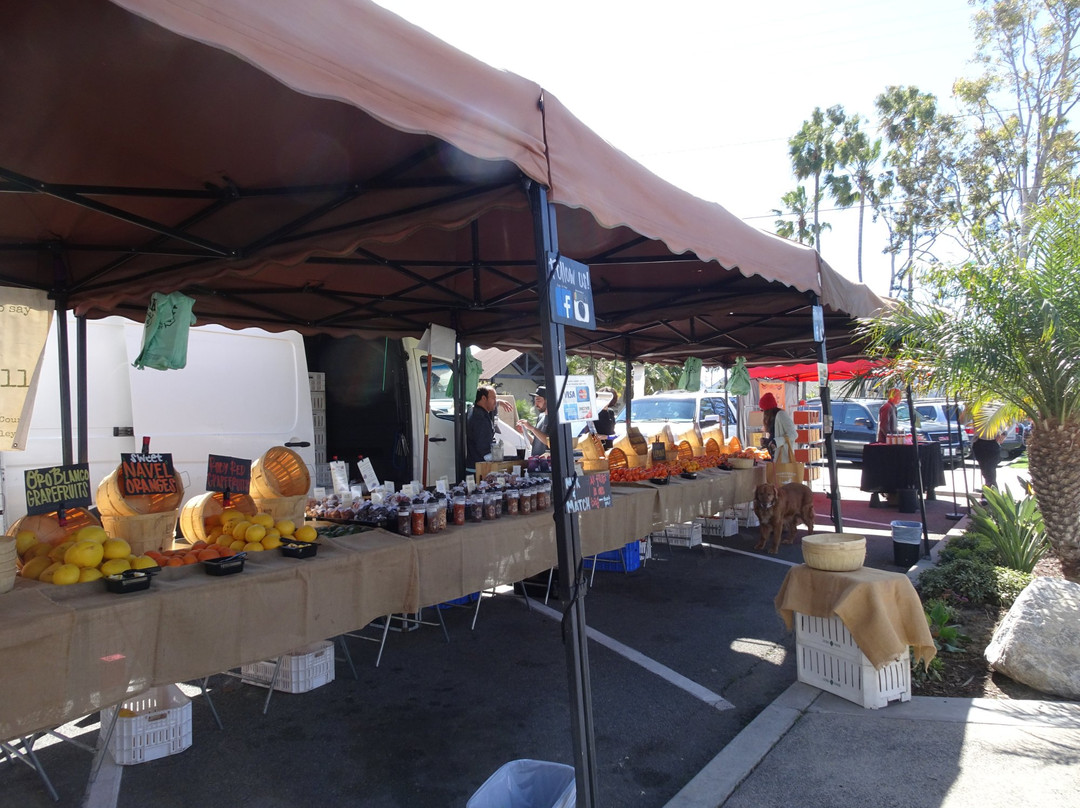 Dana Point Farmer's Market景点图片