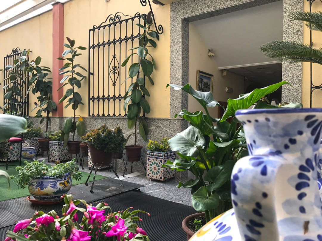 Hotel Maximiano Herculeo主图