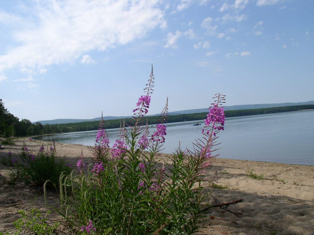 Arey Lake-赤塔必去景点