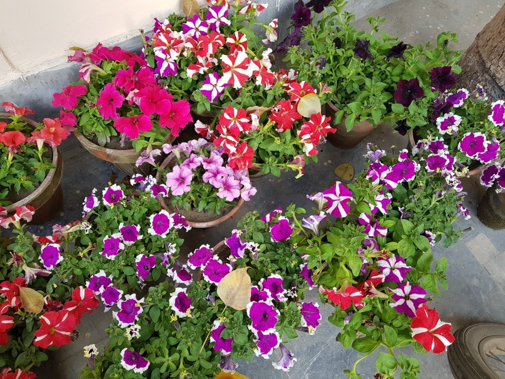 佛塔里斯木尔坦酒店主图