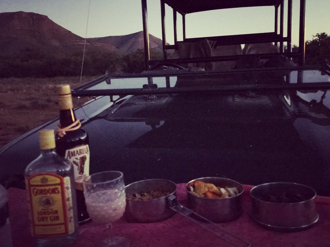 Samara Karoo Reserve主图