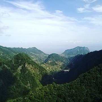 Levadas旅游攻略图片