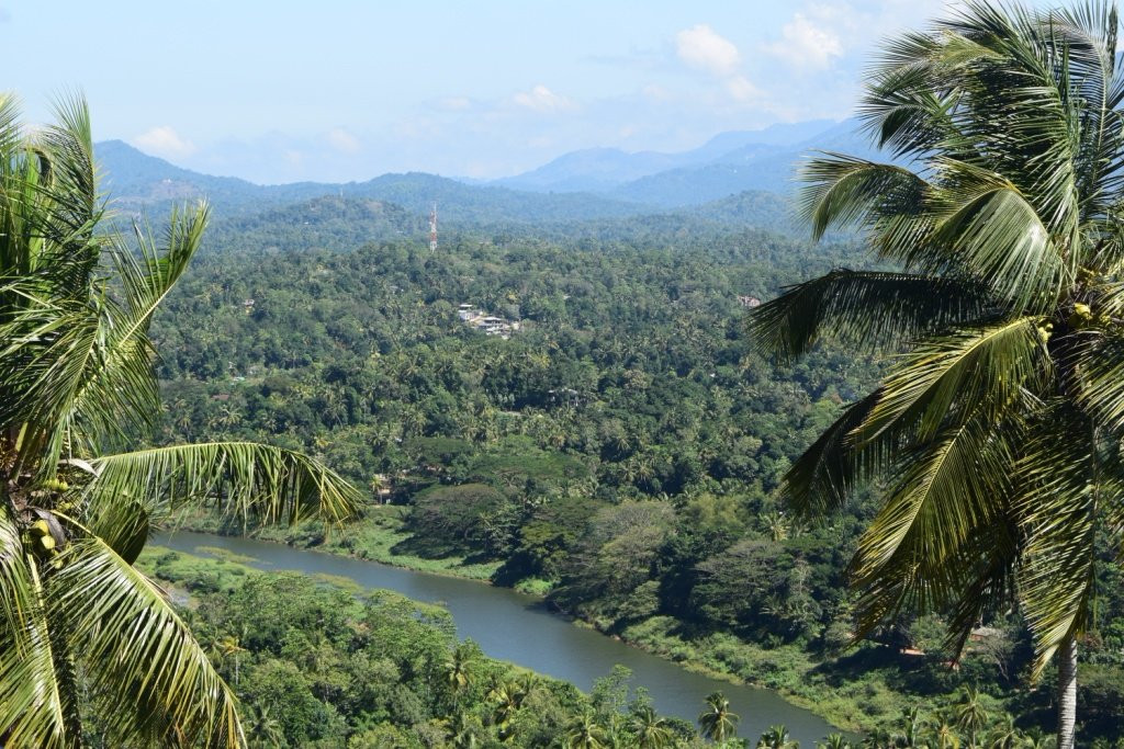 Serenity Hill Oasis主图