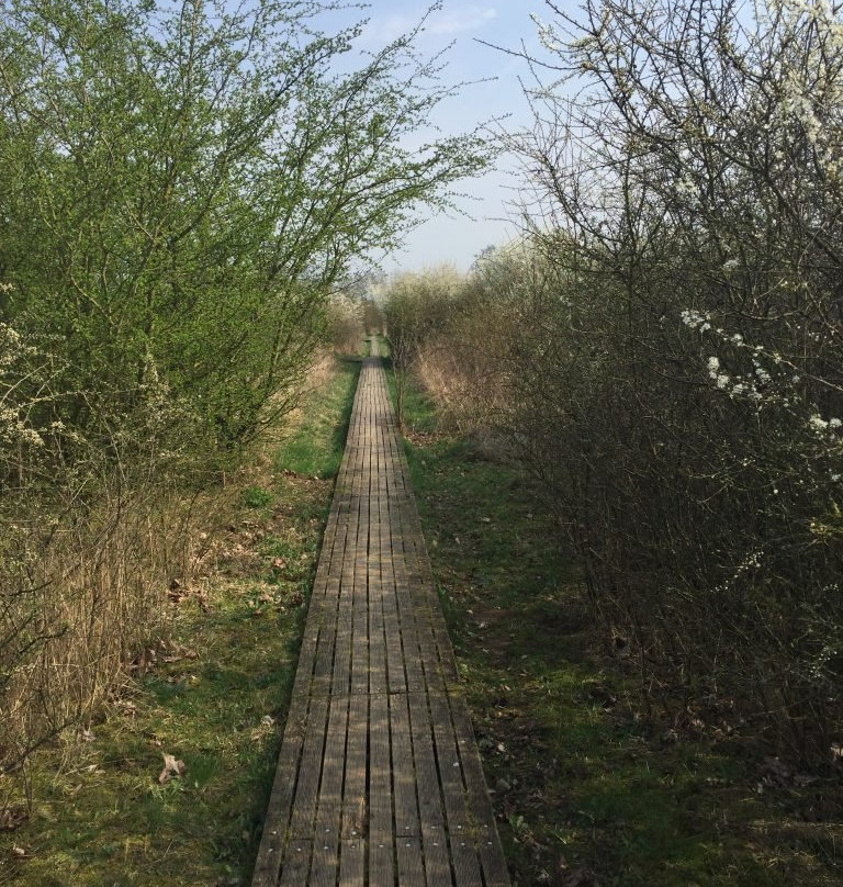 Wietzepark-Langenhagen必去景点
