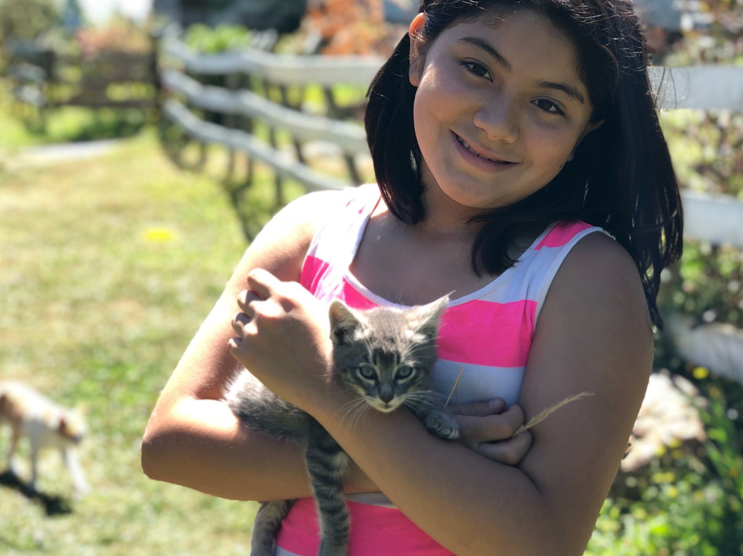 Granja Educativa de Villarrica El Dorado-比亚里卡必去景点