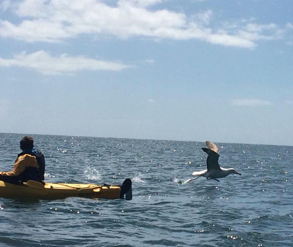 Catlins Kayak and Adventure景点图片