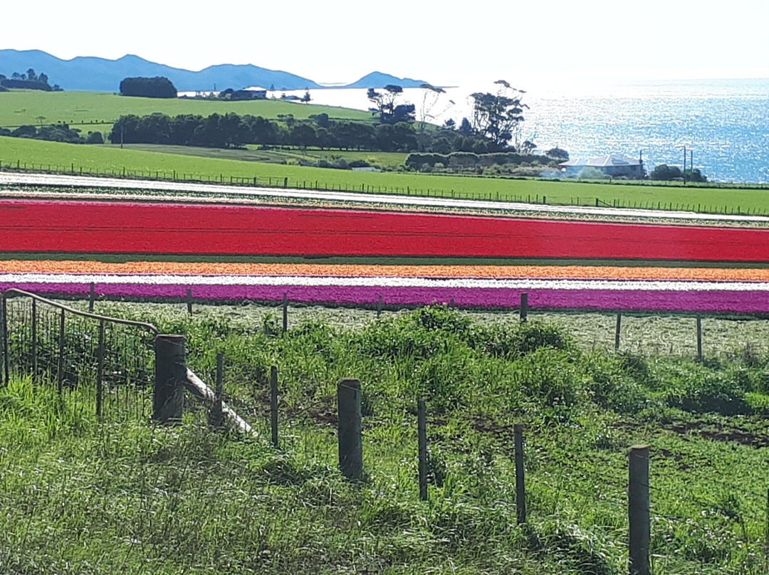 Robin's Nest Bed & Breakfast主图