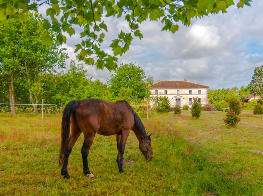 Domaine Terrocéane主图