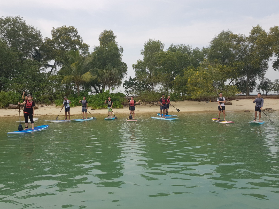 The Stand Up Paddling School景点图片