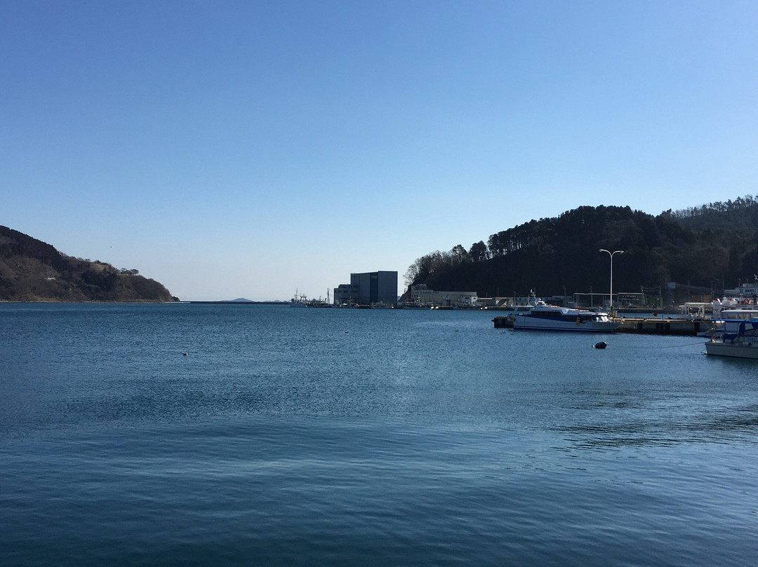 Onagawa Fishing Port景点图片