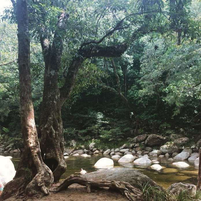 Walkabout Cultural Adventures-Daintree必去景点