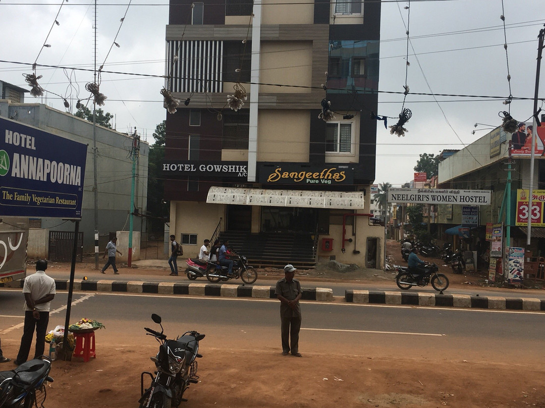 Hotel New Ramnath主图