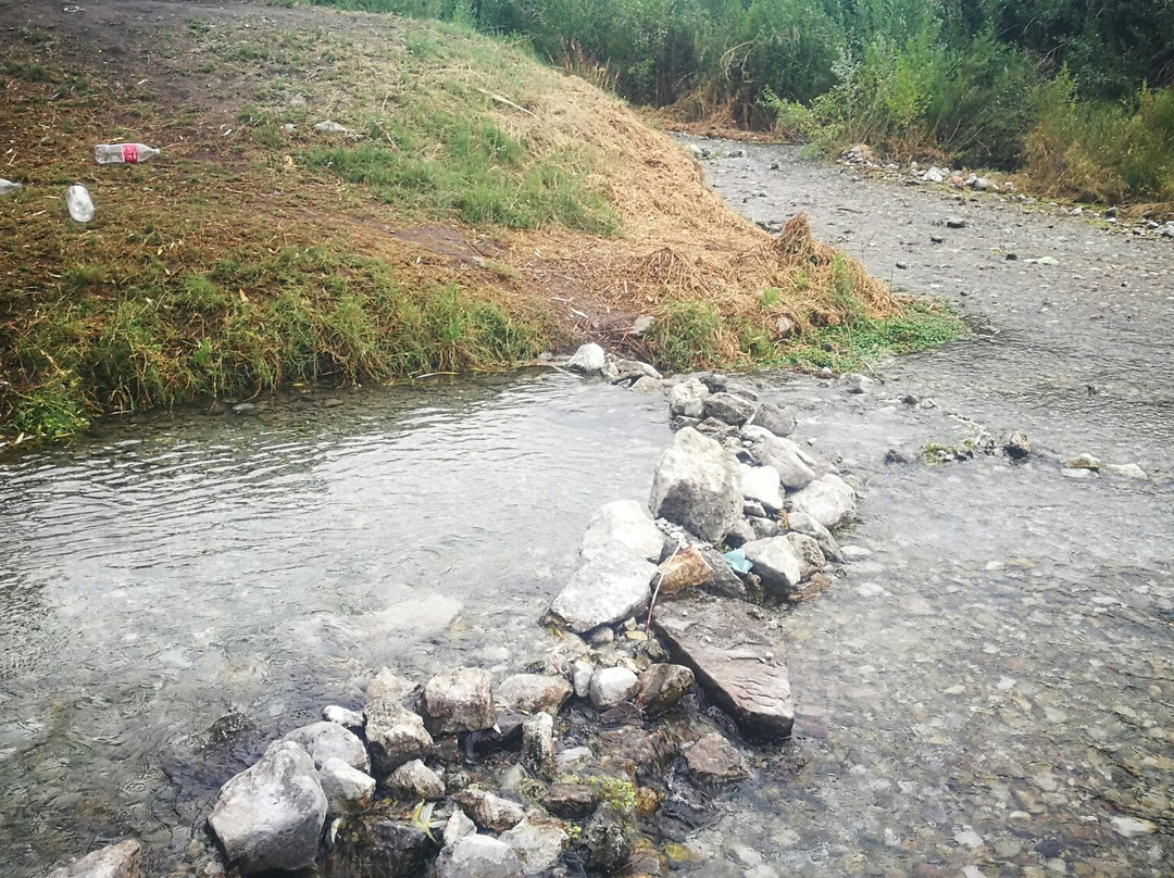 Camping Agua Negra景点图片