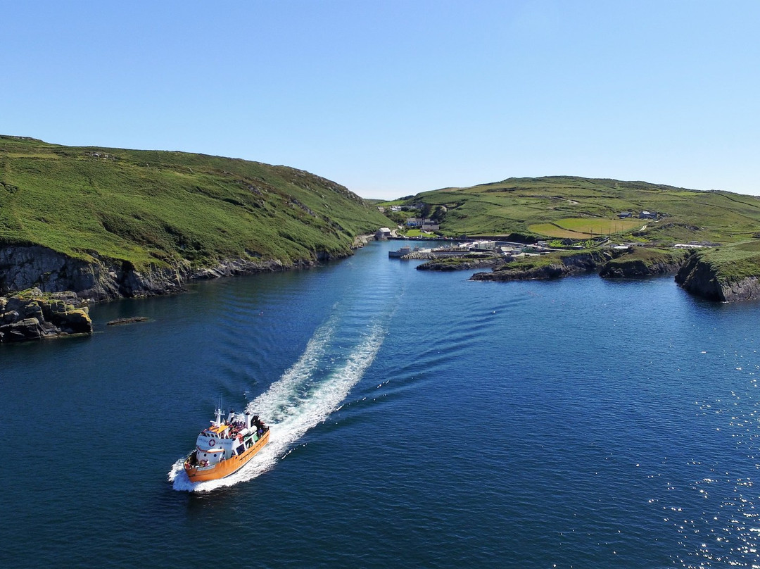 Cape Clear Ferry-Schull必去景点