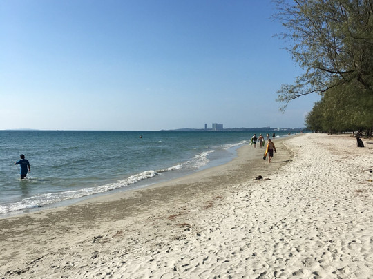 Mangrove River Resort主图