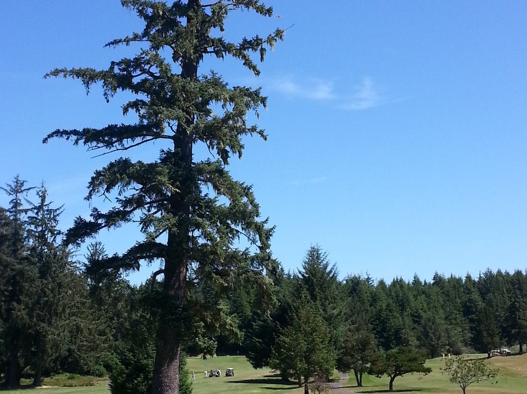 Reedsport Golf Course - Formerly Forest Hills Cc景点图片