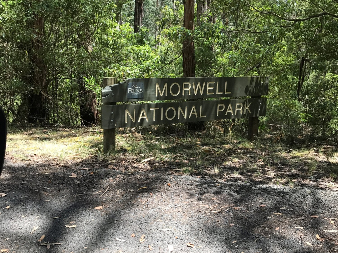 Mirboo East旅游景点-Morwell National Park