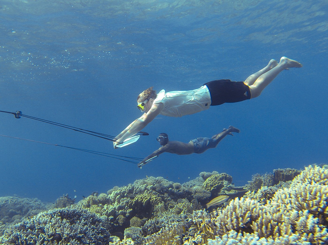 Subwing Palawan-爱妮岛必去景点