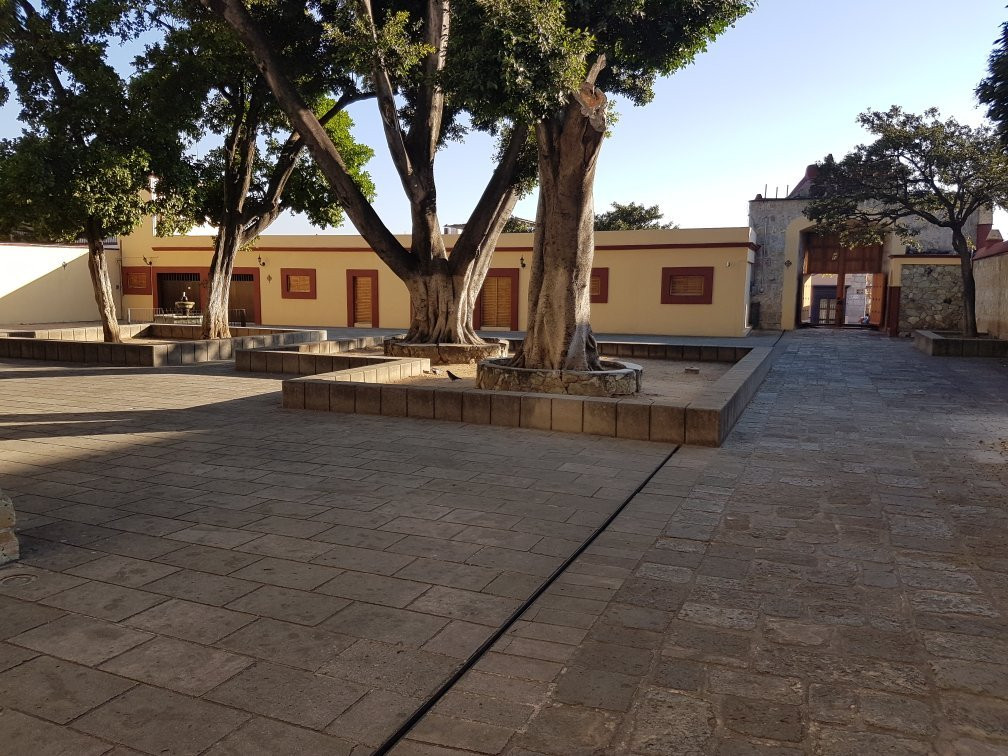 Zócalo-瓦哈卡必去景点