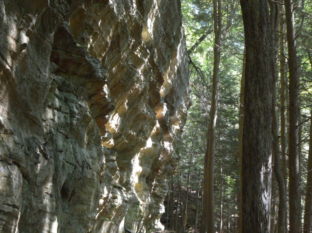 Hemlock Bridge Trail-洛根必去景点