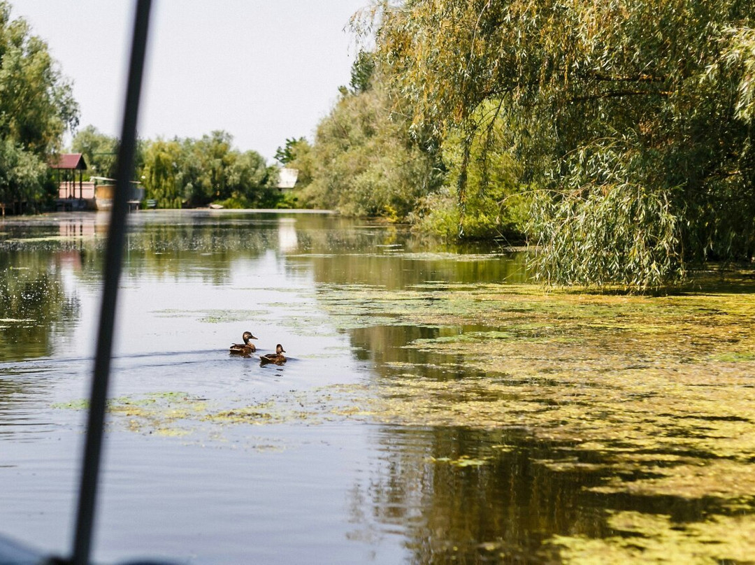 Vilkovo旅游攻略图片