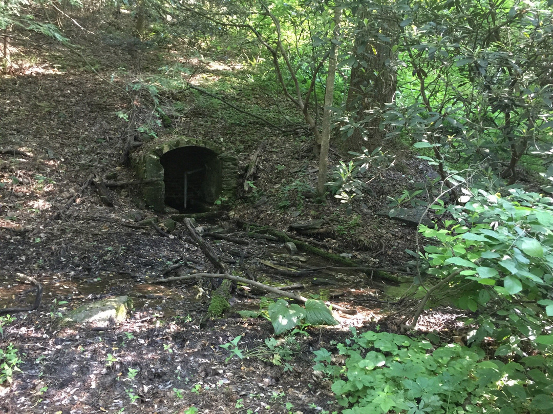 Tucquan Glen Nature Preserve景点图片