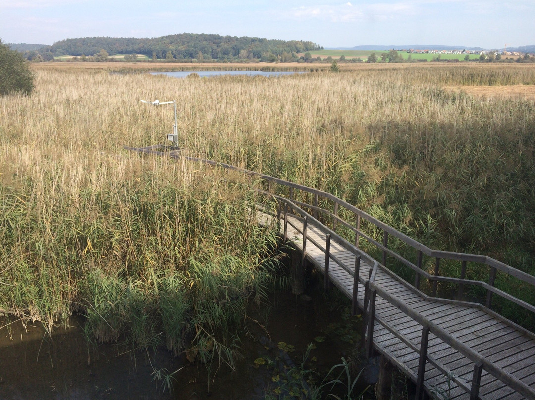 BirdLife-Naturzentrum Neeracherried-Neerach必去景点