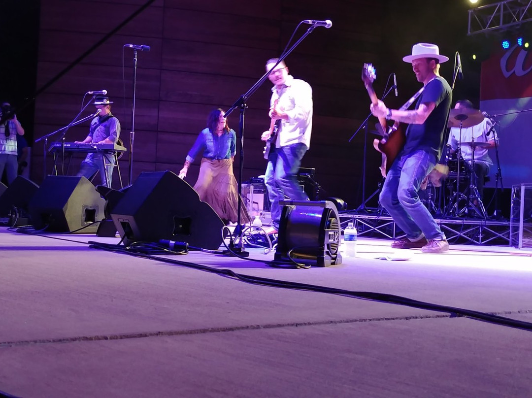 Levitt Pavilion-阿灵顿必去景点