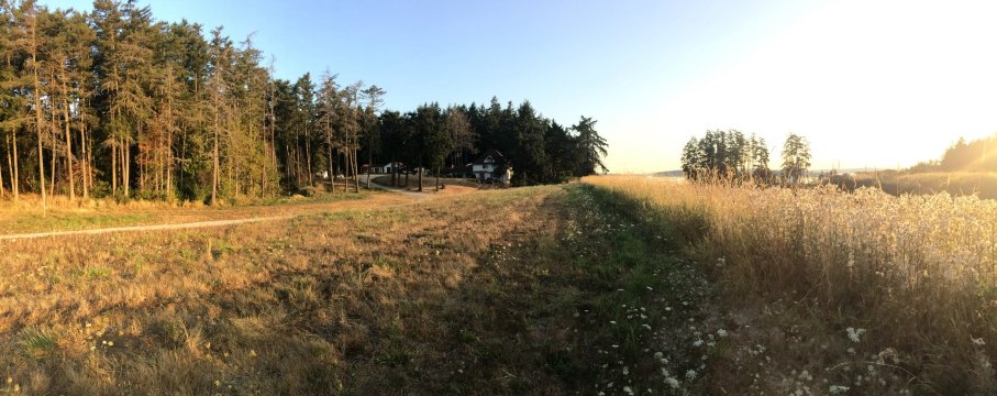 Swartz Bay Farm Bed & Breakfast-官方