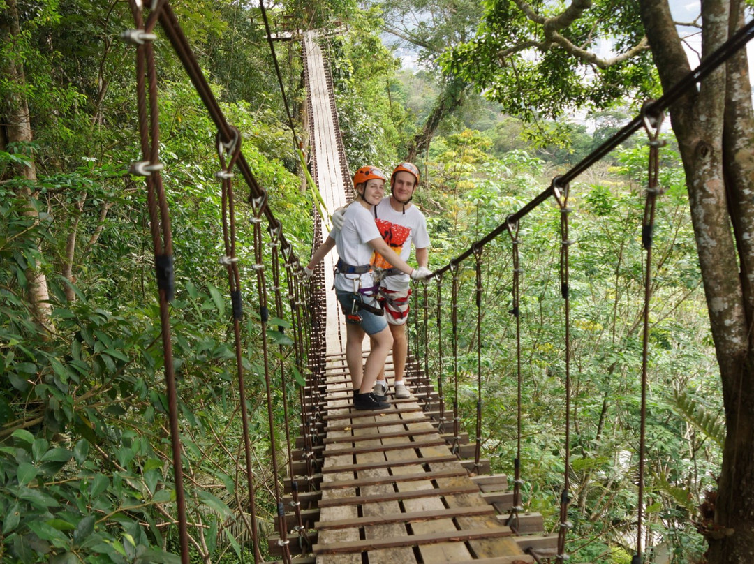 Ziplinemax-芭东海滩必去景点