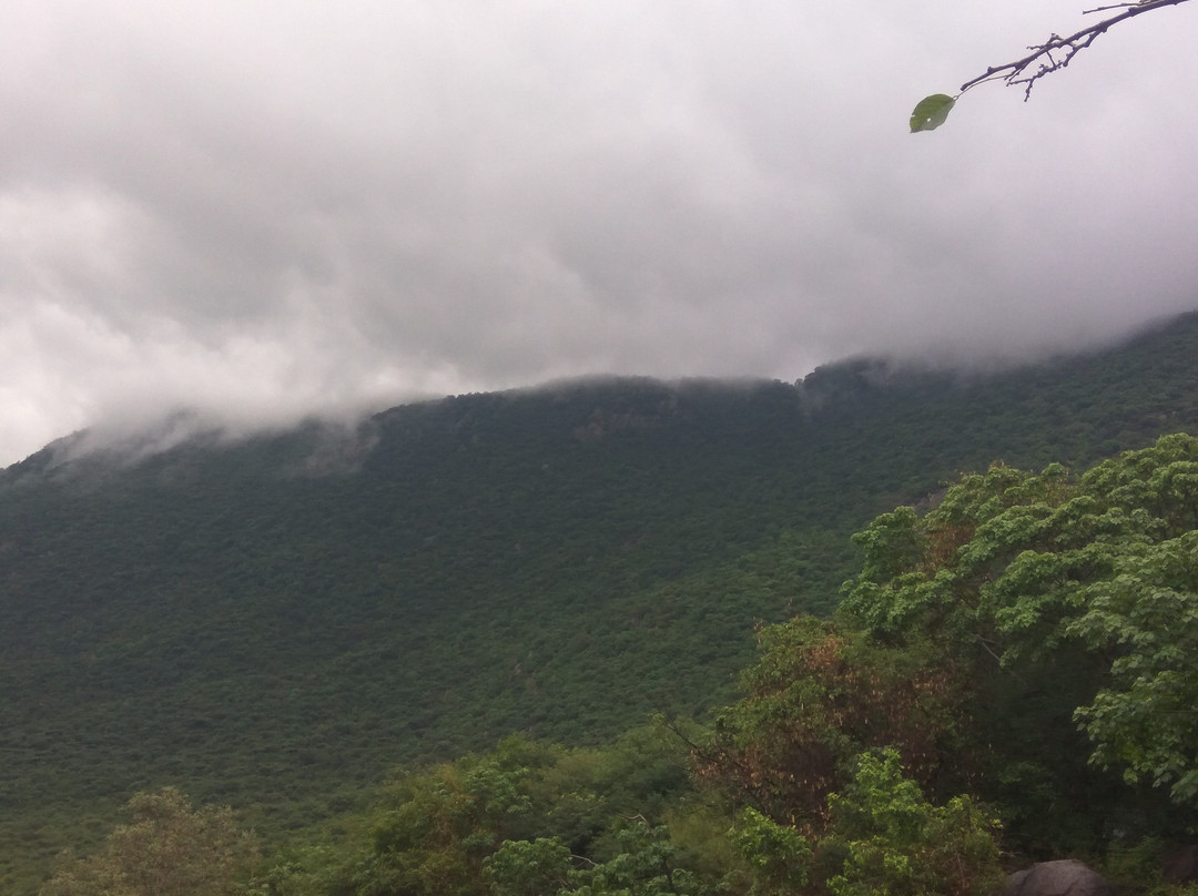 Jalagamparai Falls景点图片