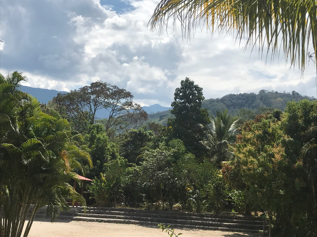 Isla las Turunas-拉梅尔塞必去景点