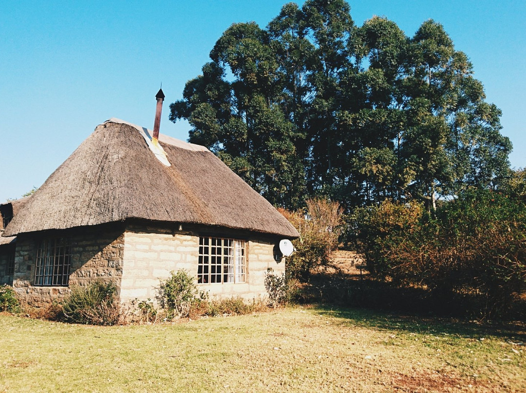 Van Reenen旅游攻略图片