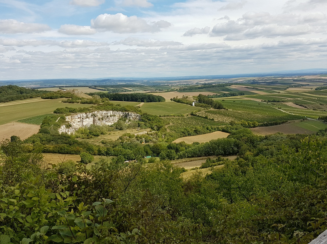 Falkenstein旅游攻略图片