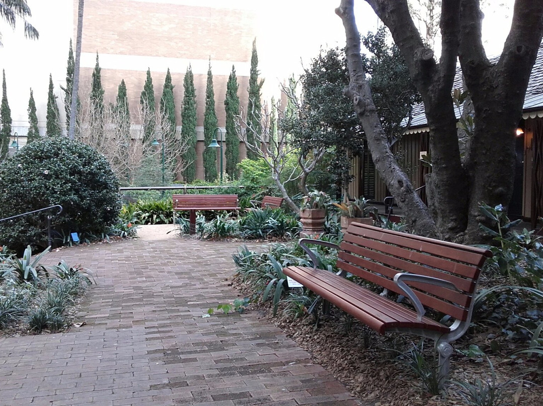 东岸博物馆-北悉尼必去景点