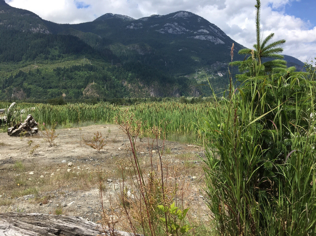 Squamish Estuary景点图片