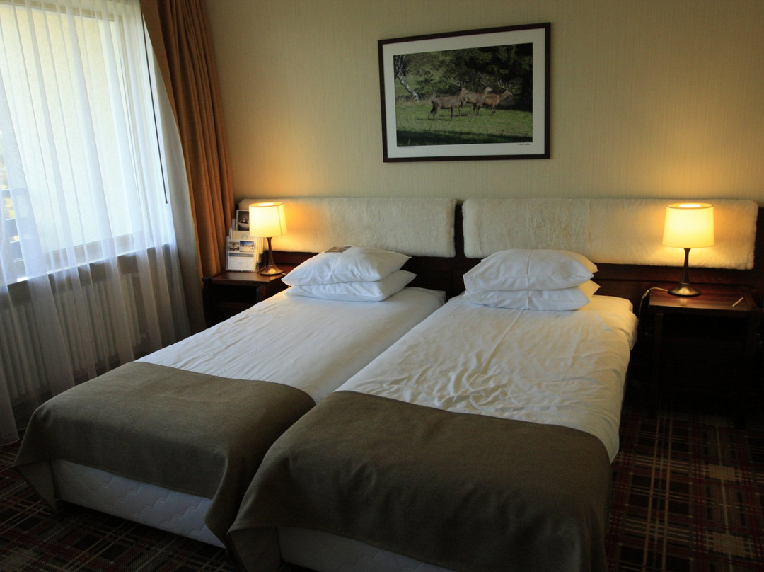 Hotel Rezydencja主图